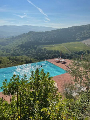 Castello Vicchiomaggio, Greve In Chianti